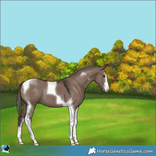 Horse Color:White Spotted Liver Red Dun Mushroom Tobiano 