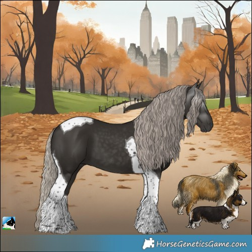 Horse Color:Gray Silver Black Tobiano 