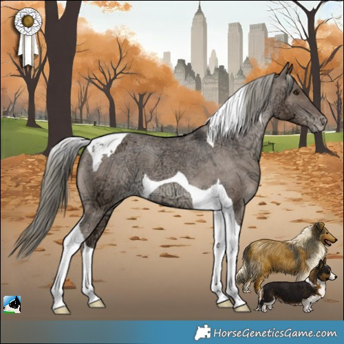 Horse Color:Liver Red Dun Ice Mushroom Tobiano Appaloosa 