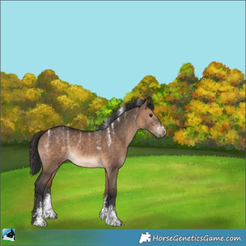 Horse Color:Powder White Brown Dun Rabicano 