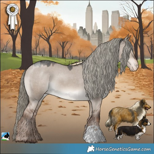 Horse Color:Liver Red Dun Mushroom Appaloosa 