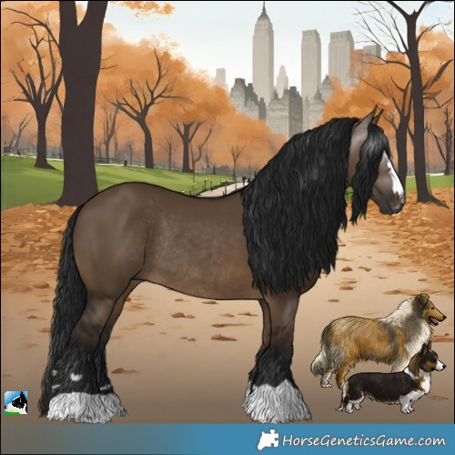 Horse Color:Gray Brown Dun Rabicano 