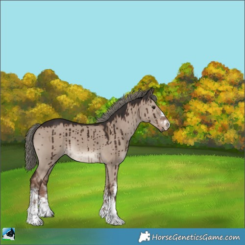 Horse Color:White Spotted Liver Red Dun Mushroom Brindle 