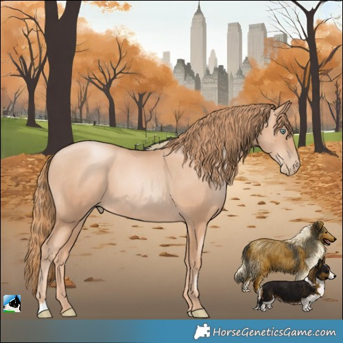 Horse Color:Gold Champagne Pearl 