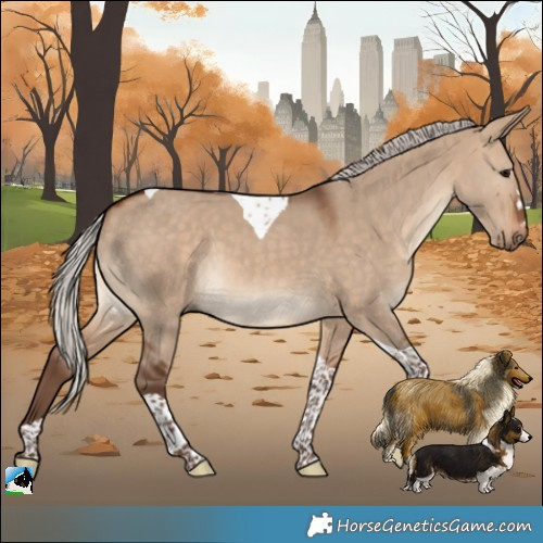 Horse Color:Silver Bay Dun Tobiano 