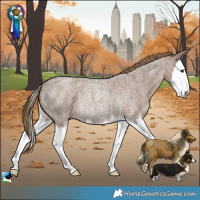 Horse Color:Liver Red Dun Roan Splash Rabicano 