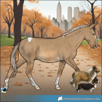 Horse Color:Chocolate Palomino Dun Splash Tobiano Rabicano Brindle 