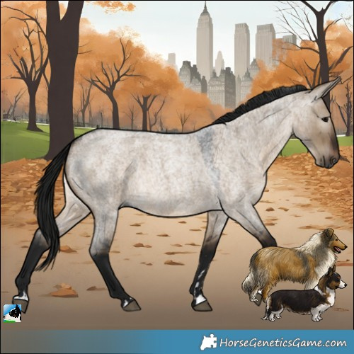 Horse Color:Gray Brown Roan Dun Rabicano 