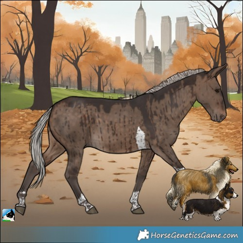 Horse Color:Silver Brown Dun Tobiano Brindle 
