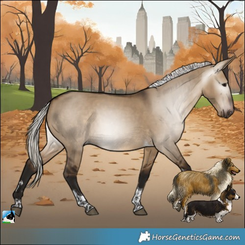 Horse Color:Gray Silver Bay Dun Tobiano 