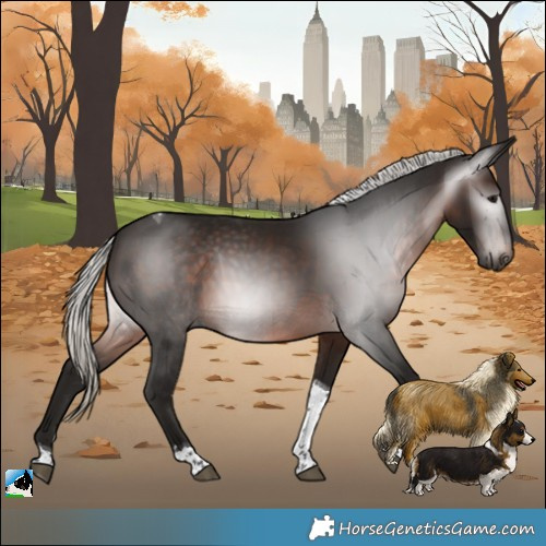 Horse Color:Gray Silver Brown Tobiano 