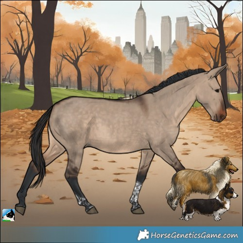 Horse Color:Brown Dun Tobiano 