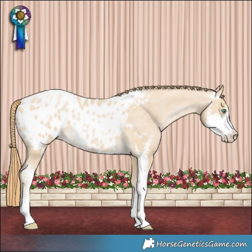 Horse Color:Smoky Black Pearl Sabino Blanket 