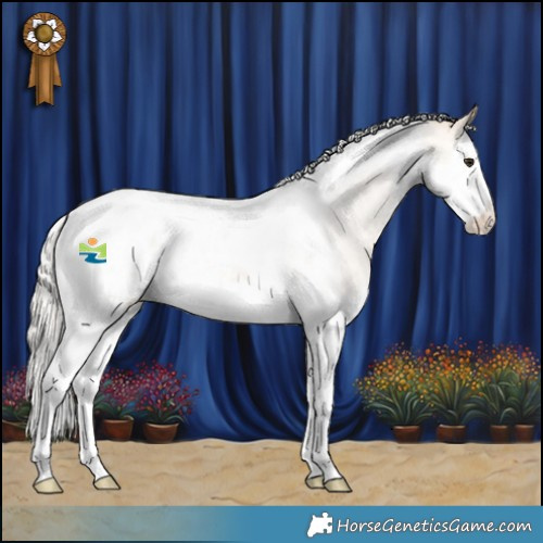 Horse Color:Silver Bay Roan Dun Splash Tobiano Blanket Rabicano 