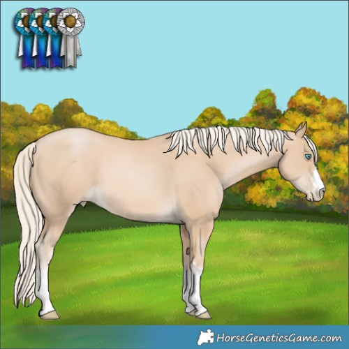 Horse Color:White Spotted Palomino Pearl 