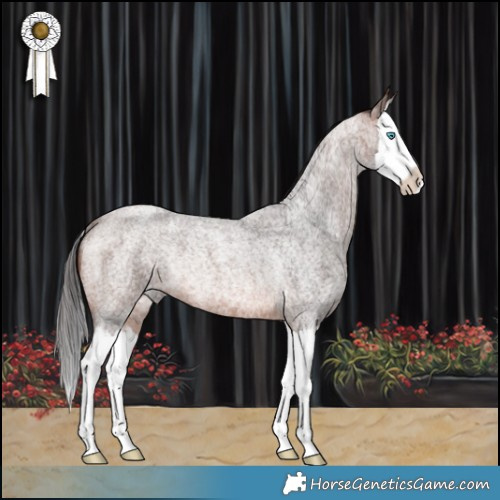Horse Color:Brown Roan Splash Rabicano 