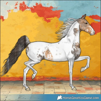 Horse Color:White Spotted Buckskin Ice Tobiano 