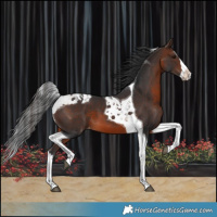 Horse Color:Brown Splash Tobiano Varnish 