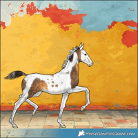 Horse Color:Buckskin Splash Tobiano 