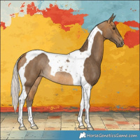 Horse Color:Silver Buckskin Tobiano Rabicano 