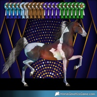 Horse Color:Brown Splash Tobiano Varnish 