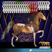 Horse Color:Buckskin Splash Tobiano Varnish 