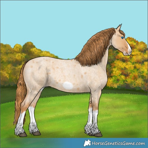 Horse Color:Red Dun Roan Splash Frame Rabicano 