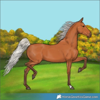 Horse Color:Silver Bay
