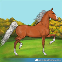 Horse Color:Silver Bay