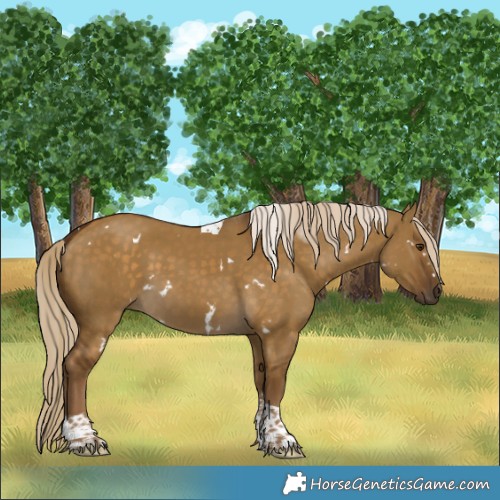 Horse Color:White Spotted Chocolate Palomino Dun Tobiano 