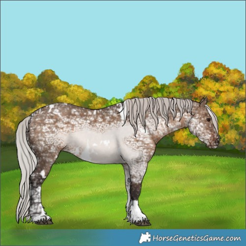 Horse Color:White Spotted Silver Brown Ice Dun Tobiano 