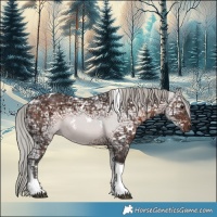 Horse Color:White Spotted Silver Brown Ice Tobiano 