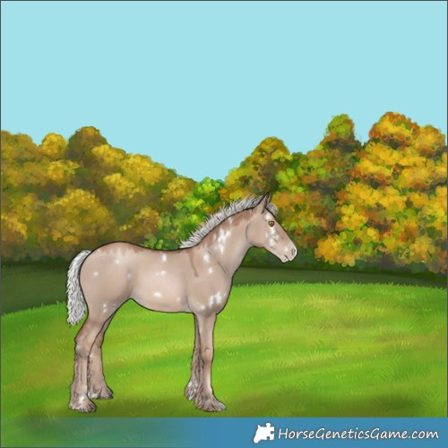 Horse Color:White Spotted Silver Grullo Pearl Mushroom Sabino 