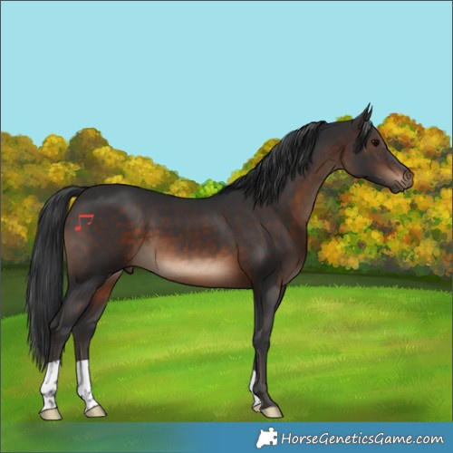 Horse Color:Brown 