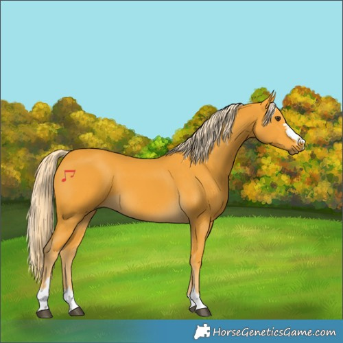 Horse Color:Palomino 