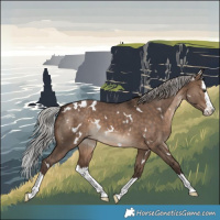 Horse Color:White Spotted Silver Brown Dun Splash 