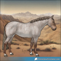 Horse Color:Liver Red Dun Roan 