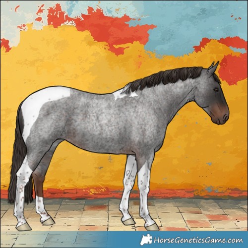 Horse Color:Liver Red Roan Tobiano