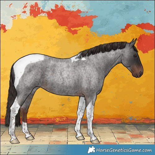 Horse Color:Liver Red Roan Tobiano 