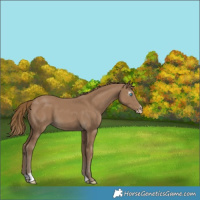 Horse Color:Gray Smoky Creme