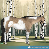 Horse Color:Gray Brown Dun Sabino Tobiano Frame