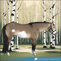 Horse Color:Gray Brown Dun Frame 