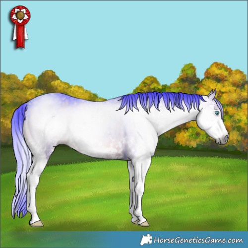 Horse Color:Gray Watercolor Grullo Sabino Splash Brindle 