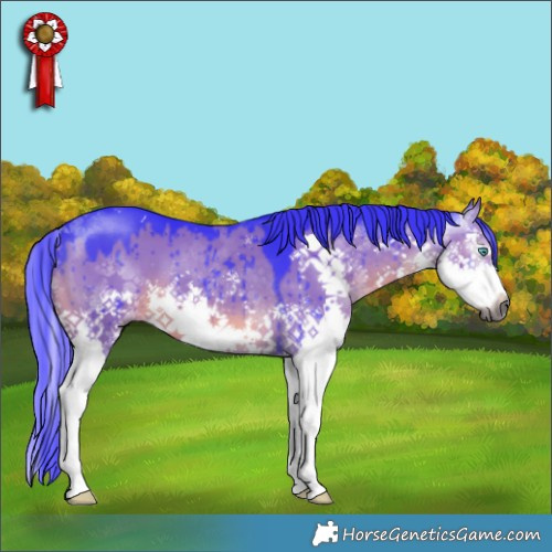 Horse Color:Gray Watercolor Grullo Sabino Splash Brindle