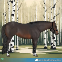 Horse Color:Brown 