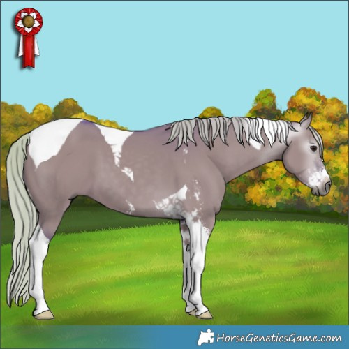 Horse Color:Gray Watercolor Silver Grullo Sabino Tobiano 