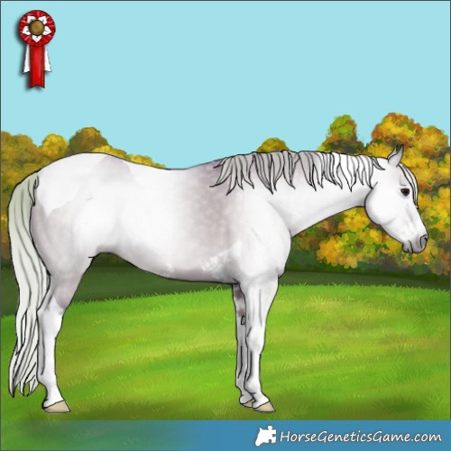 Horse Color:Gray Watercolor Silver Grullo Sabino Tobiano 
