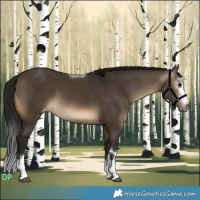 Horse Color:Gray Brown Dun Varnish 