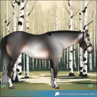 Horse Color:Gray Brown Tobiano 