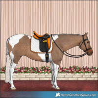 Horse Color:Silver Brown Dun Tobiano